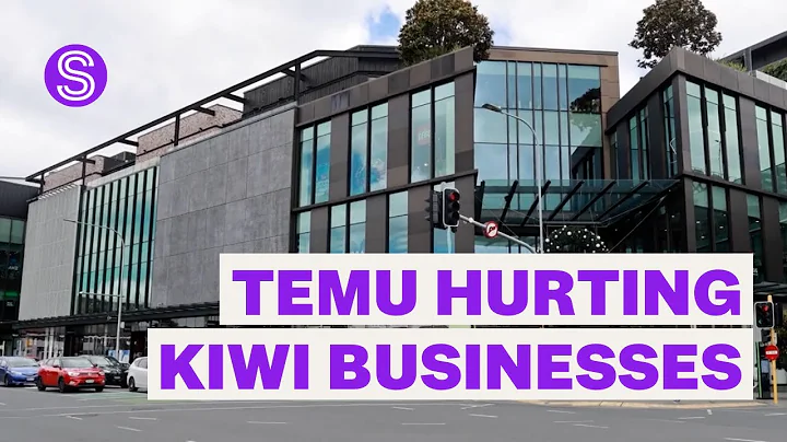 Online retailers like Temu are chewing into the profits of Kiwi businesses | Stuff.co.nz