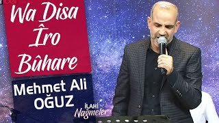 Mehmet Ali Oğuz - Wa Disa Îro Bûhare Resimi