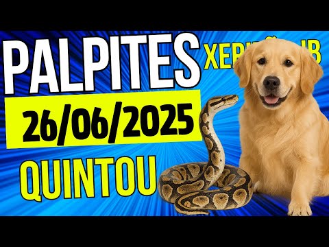 Palpite do dia