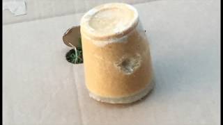 Pellet Gun vs. Pykrete and Ice