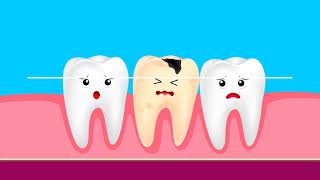 HCPCS Level II Modifiers for Ambulance/Transportation and Dental Coding screenshot 4