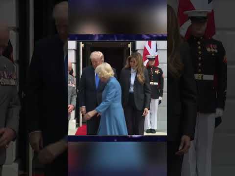 Camilla in the Wrong Spot? | Melanie Bracewell