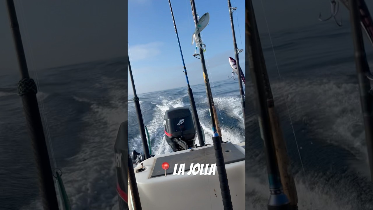 Pure glass in La Jolla🌊 