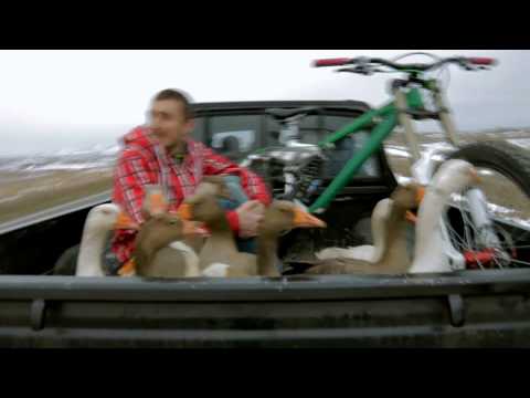 მომსახურების სააგენტო