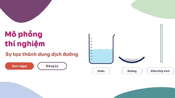[Mô phỏng thí nghiệm] 🍰Hòa tan đường vào trong nước 🥛Sugar dissolving experiment☕️