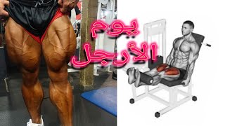 تمارين الأرجل /حصة كاملة لعضلة الأرجل / leg day