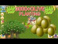 Hay Day 3000 Olive Tree Planting and gameplay level 