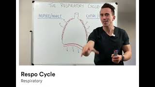 Respiratory cycle