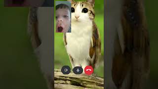 Vídeo de Claire Potter