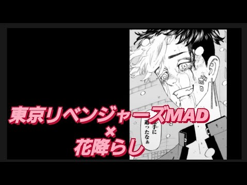 【静止画MAD】東京リベンジャーズ×花降らし  半間修二×稀咲鉄太