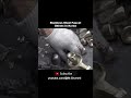 Stainless Steel Faucet Shines in Korea