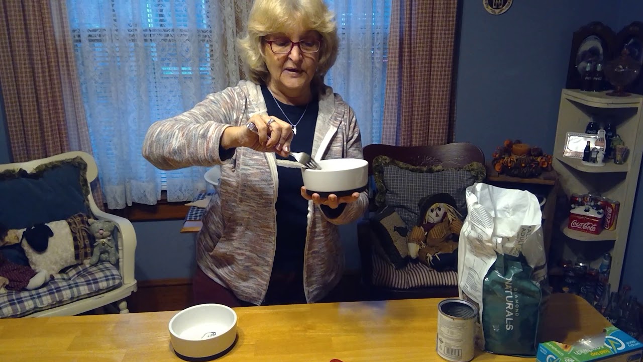 Mixing wet and dry dog food YouTube