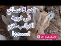 اهم 5 نصائح فى تربية الأرانب للمبتدئين تربية الأرانب بكل سهولة