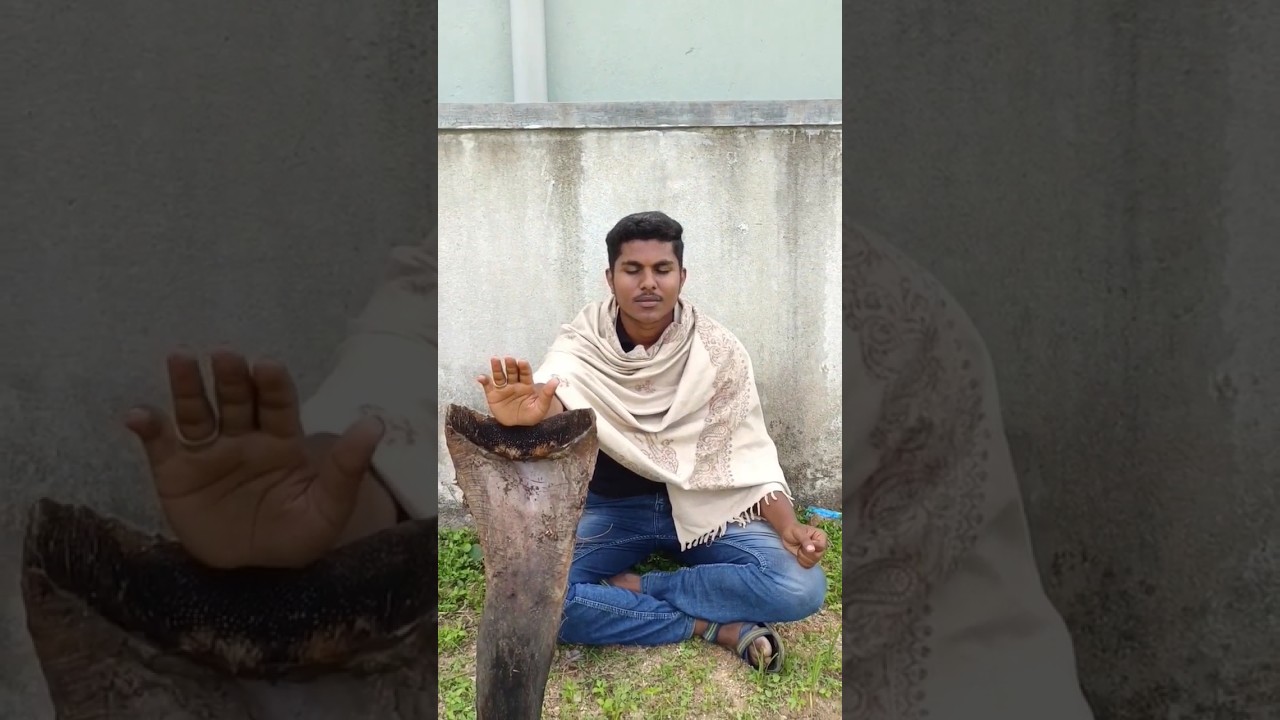 dummy swamiji part 1 comedy telugu shorts gajalaceo YouTube