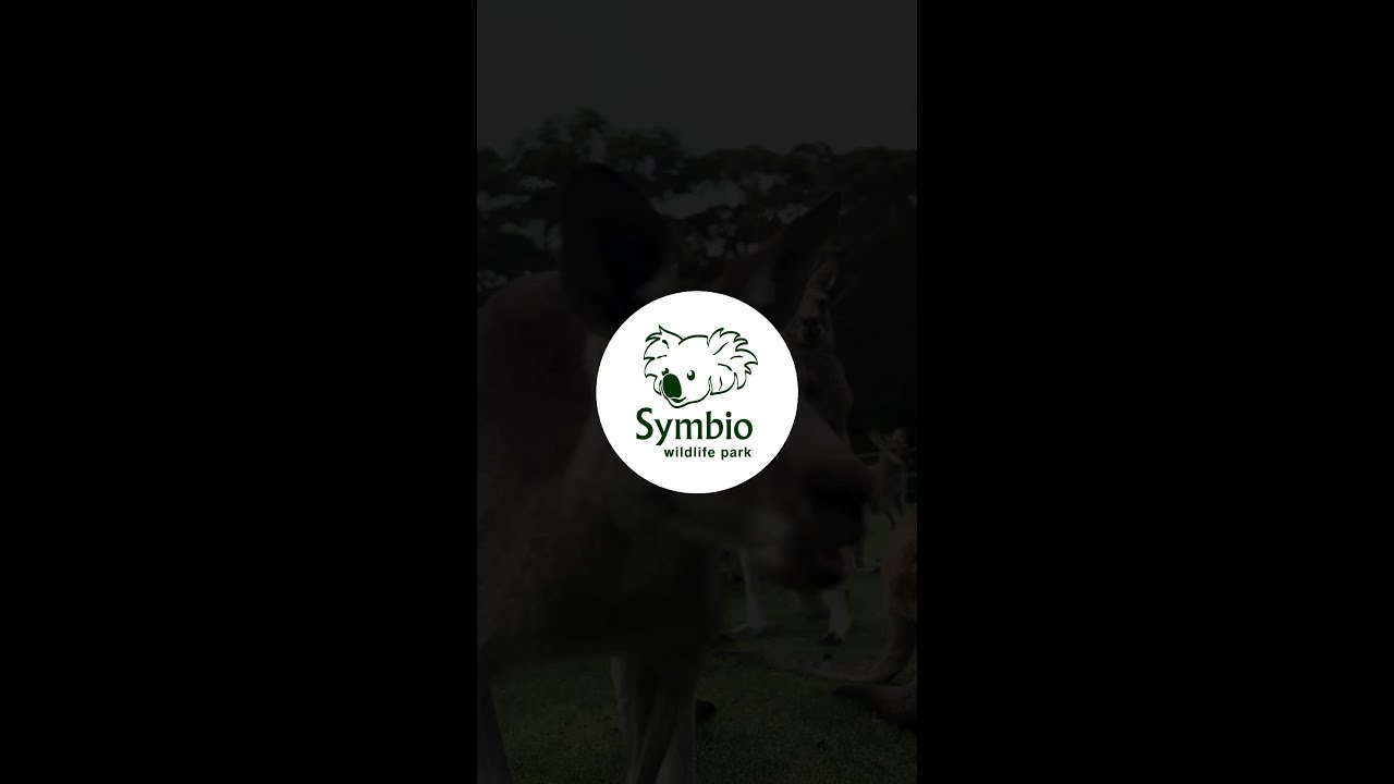 Symbio Wildlife Park - YouTube