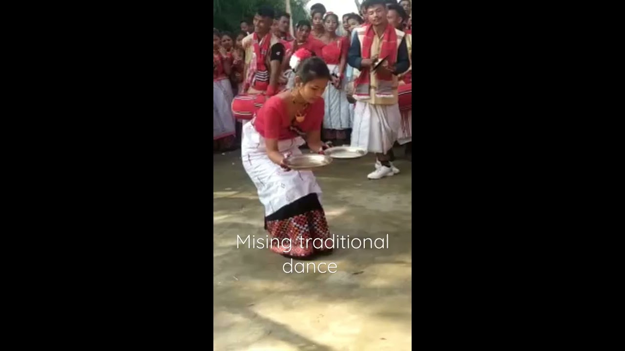 Mising culture traditional dance  Ali Aye ligang Gumrag sonam AliAye ligang soman
