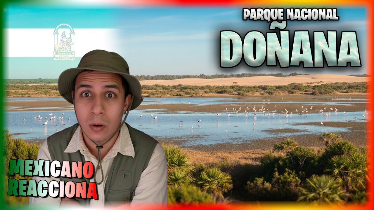 España es NATURALEZA PURA… Reaccionando al Parque de Doñana 🇪🇸 | Mexicano reacciona a ESPAÑA