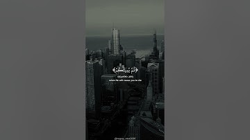 ﴿كَيْفَ تَكْفُرُونَ بِاللَّهِ وَكُنتُمْ أَمْوَاتًا فَأَحْيَاكُمْ ۖ ﴾ سورة البقرة القارئ ياسر الدوسري