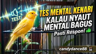 TES MENTAL KENARI | SAMPAI NYAUT MENTAL BAGUS | Pasti Respon BUKTIKAN !