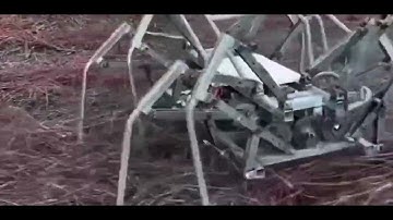The Future of All-Terrain? 🤖 #Robotics​Insane Hexapod Robot in Action! 🔥*#reels*#shorts*#video