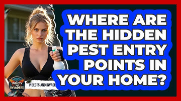 Where Are The Hidden Pest Entry Points In Your Home? - Insects and Invaders