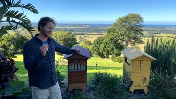 Live beekeeping Q&A Cedar Anderson