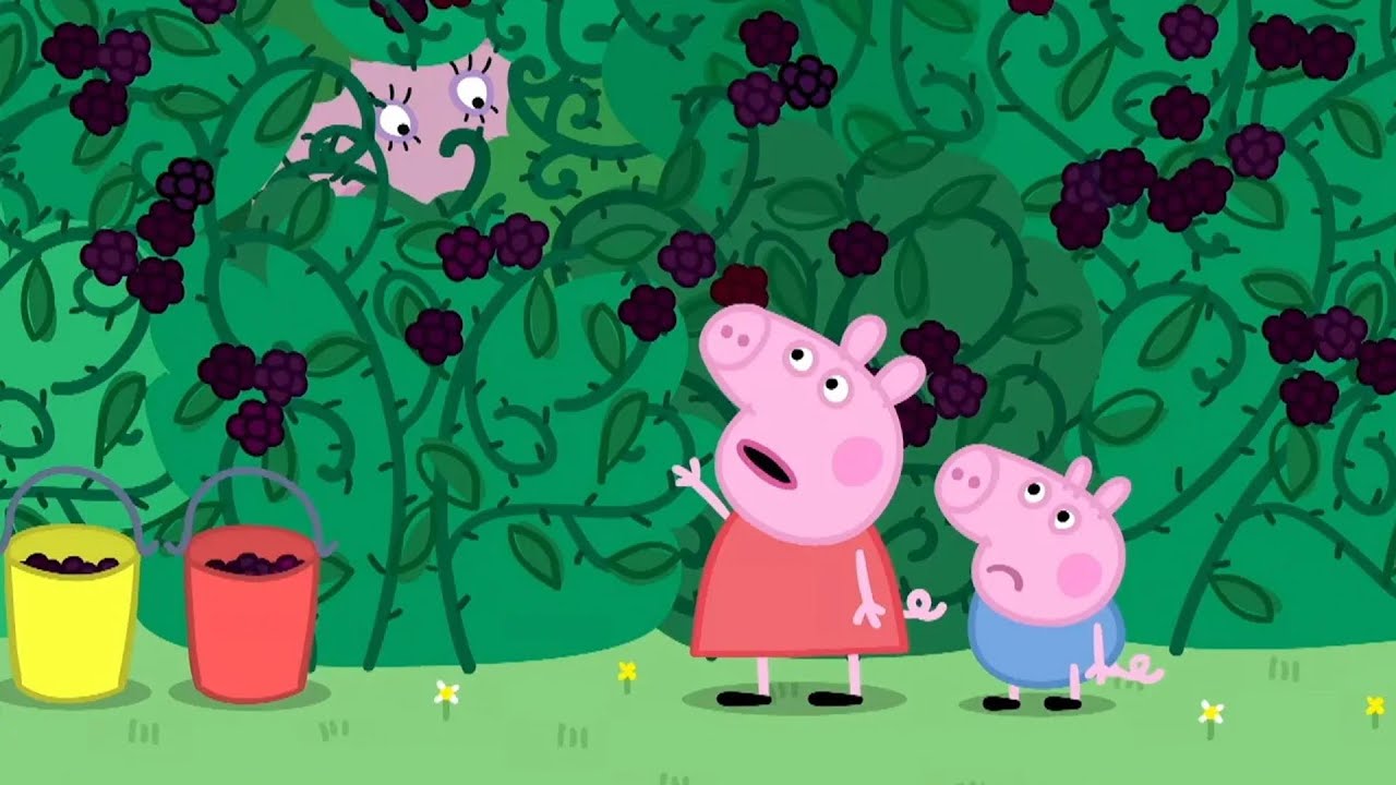 小猪佩奇 | 黑莓布希 | 兒童卡通片 | Peppa Pig Chinese | 动画 - YouTube