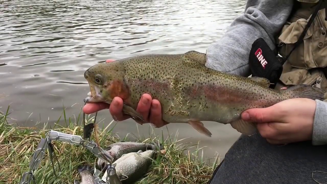 Opening Day Of Trout Fishing PA 2017 YouTube