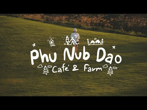 ไร่ภูนับดาว Phu Nub Dao Cafe'& Farm  #สระบุรี  #ที่พัก #ที่เที่ยว #รีวิวที่พัก