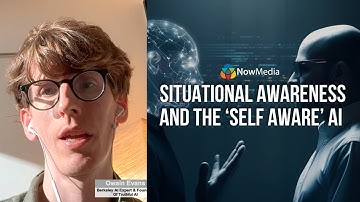 Situational Awareness and the ‘Self-Aware’ AI