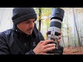 Review Canon ef100-400mm L IS USM II - Ein vielseitiges Tele!