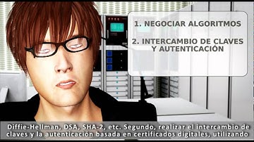 Lección 9: Introducción al protocolo SSL (intypedia)