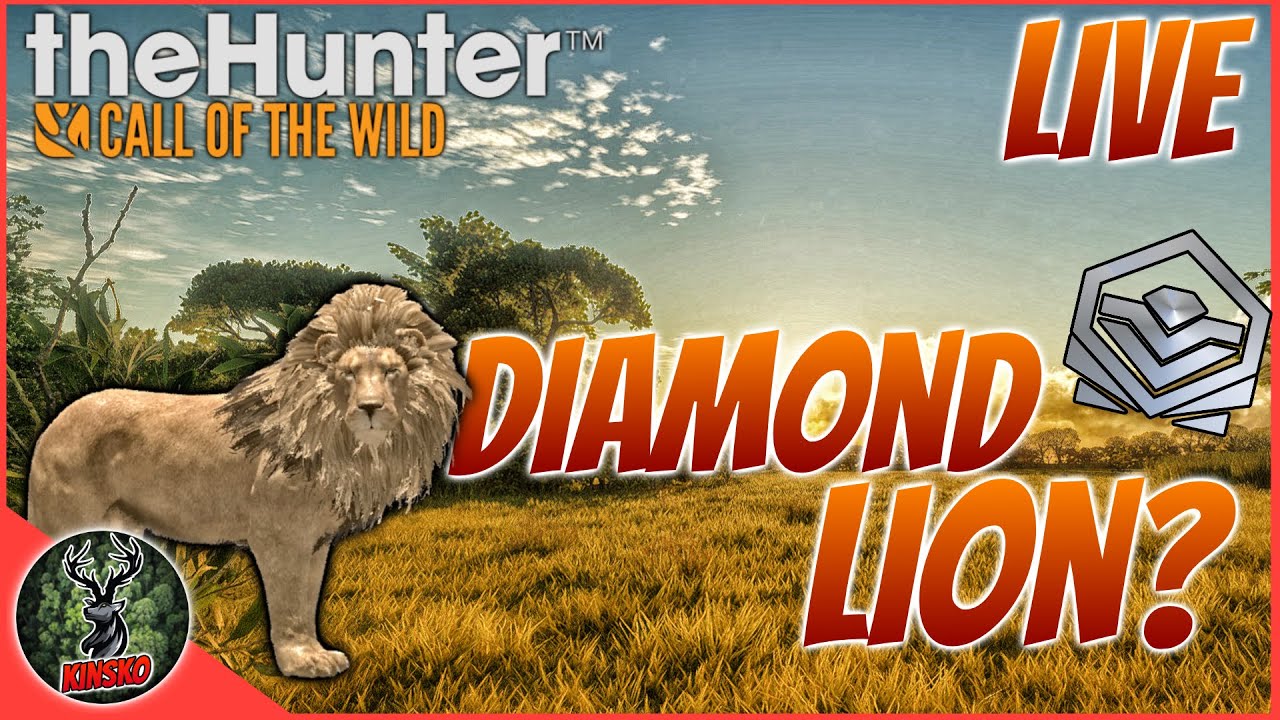 We Got A 9 Legendary Lion On Our Map Lets Go Shoot IT The Hunter Call