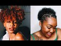 Short To Awkward Length Type 4 Natural Hairstyles