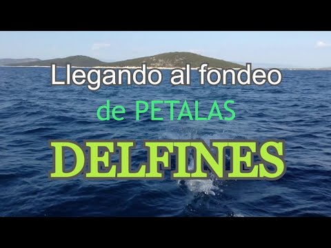 ⁣Llegando a Petalas con delfines