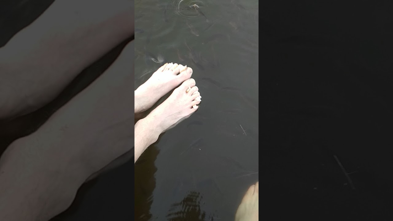 A Woman Lost Her Toenails After a Fish Pedicure