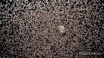 How To Make Milo Lava Cake |ENGLISH| Procedure #SMPABC