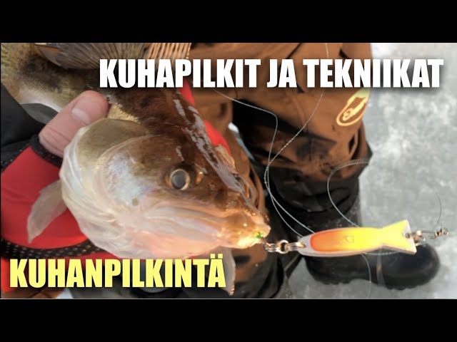 kuhaa pilkillä kuhaa pilkillä
