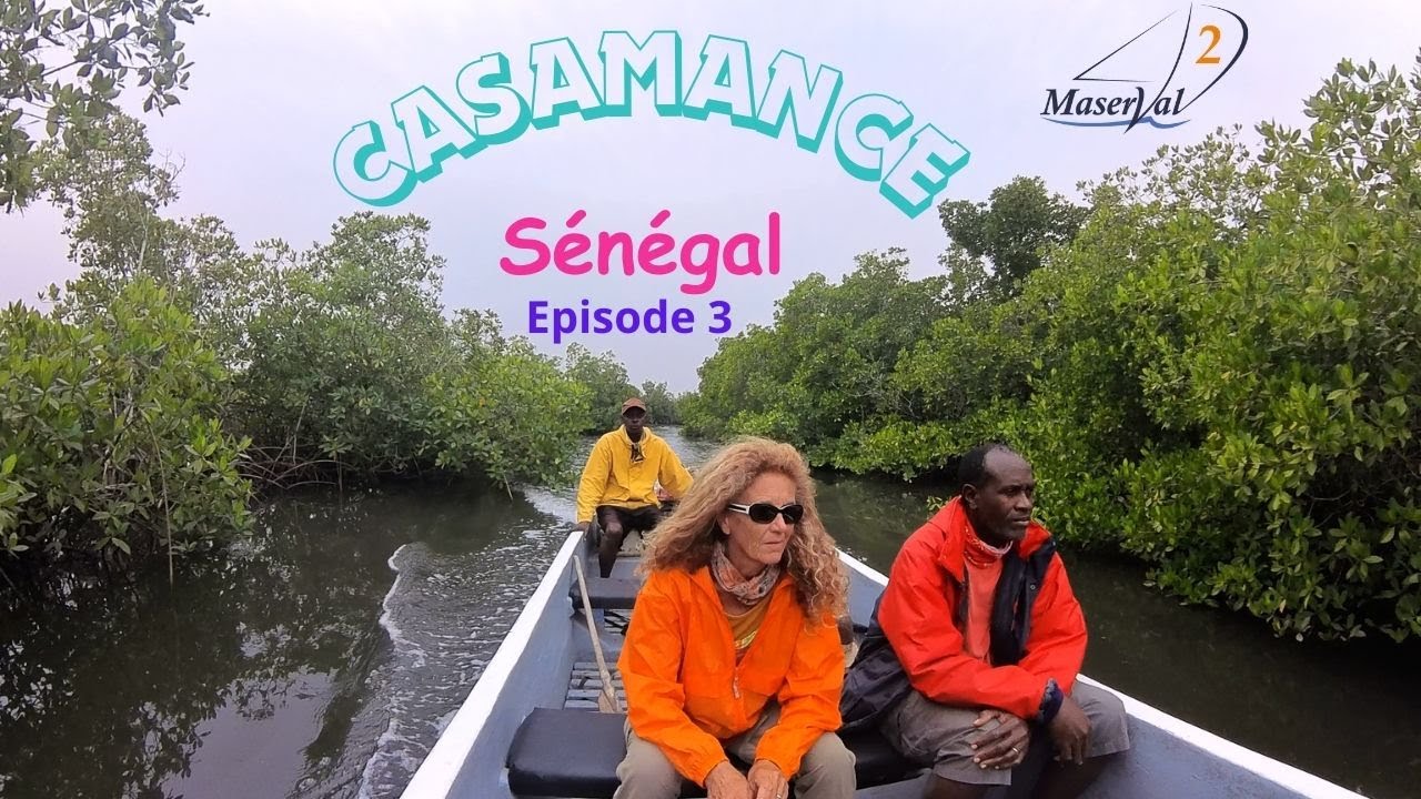 SENEGAL Déc 2023 (Ep3) - Oiseaux et villages de Casamance
