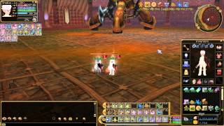 Insanity Flyff ~ General Boss Hunting Tips