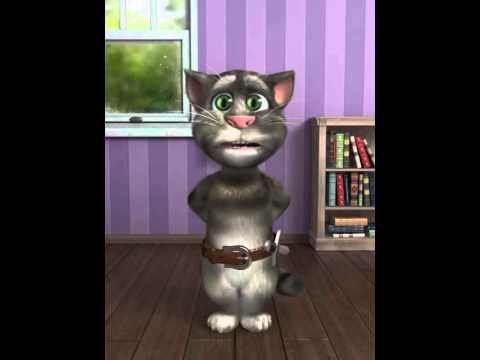 توم توم تومي