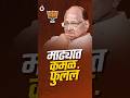 Madha मध्ये BJP चा दणदणीत विजय! Sharad Pawar यांची राष्ट्रवादी शून्यावर!