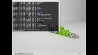 Linux Mint 17 XFCE 64bit. Install and review.