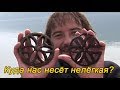 Куда нас несёт нелегкая?