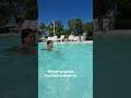 Życie na kempingu Aranypart camping Siófok Balaton Węgry Hungary #balaton #hungary #camping #kamper
