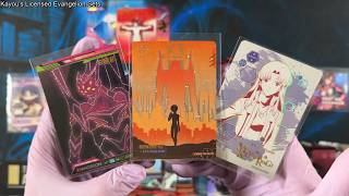 Kayou FINALLY Got the Evangelion License 🩸 Opening Both Sets (EVA-MV001 + EVA-MV02) screenshot 2