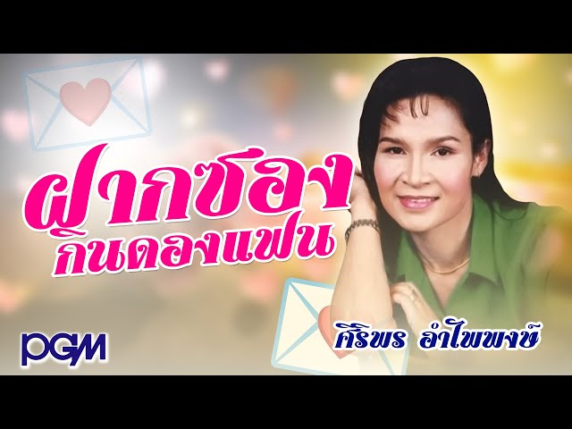 ฝากซองกินดองแฟน - ศิริพร อำไพพงษ์ - PGM Record official class=