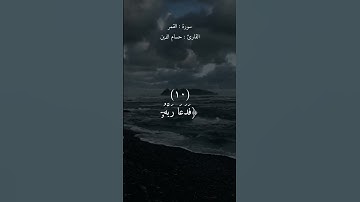 فدعا ربه انى مغلوب فانتصر | القارئ حسام الدين