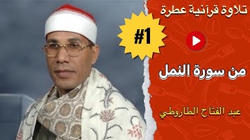 Surat An-Naml | أجمل ما قرأ الشيخ المصرى عبد الفتاح الطاروطى - سورة النمل