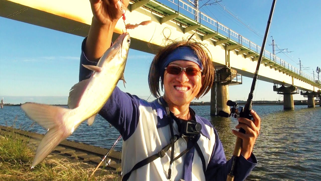 潮来釣り具センター前の川で初めてアメリカナマズ釣りしてみた【北利根川】